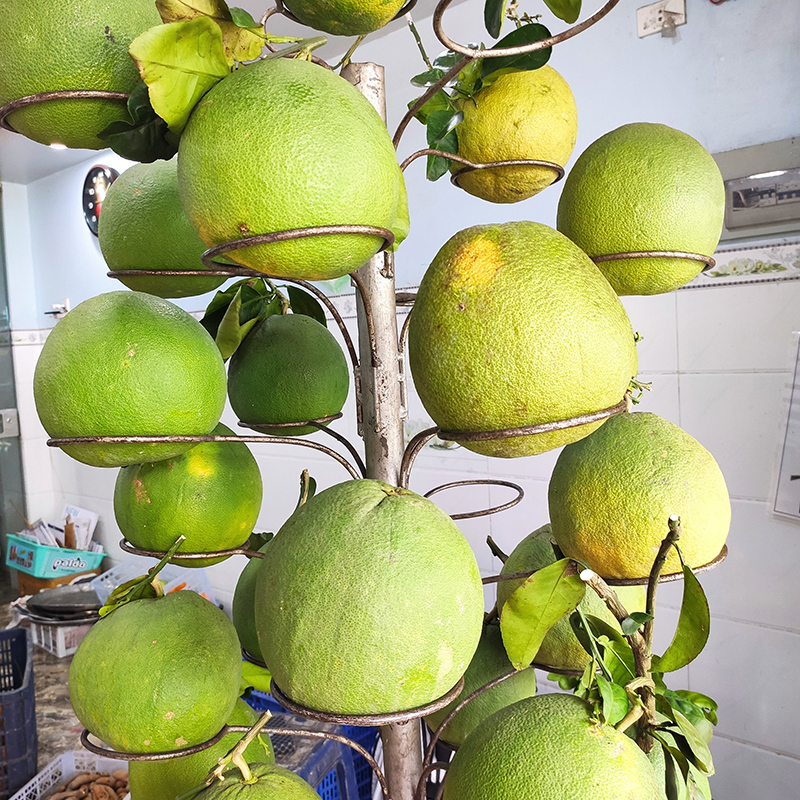 Bưởi Bến Tre có cành (1 trái)